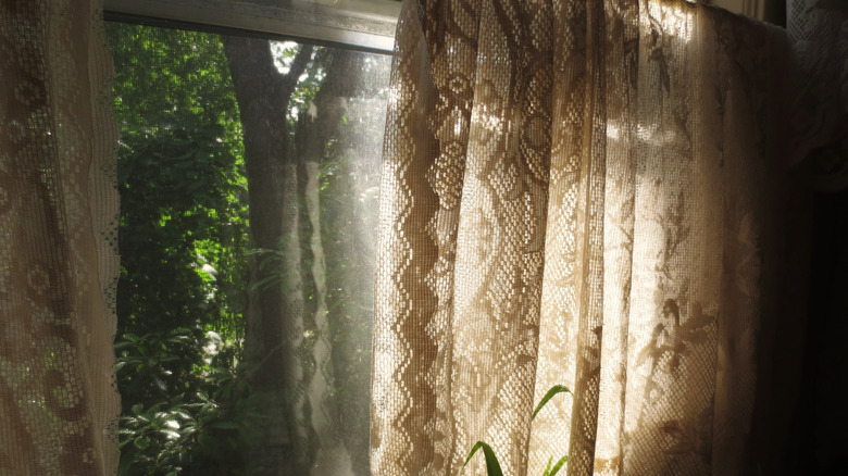 lace curtains Dubai